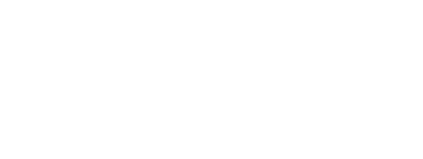 Acronis — Web del partner